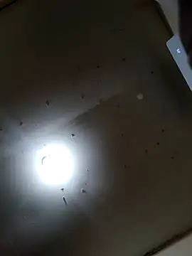 Innsaciable online show from March 21, 11:03 am