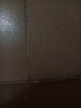 Mastar212 online show from December 2, 2:47 am