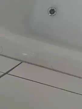 Snapshot of Loco42- chatting on December 11, 12:49 pm Loco42- online show from December 11, 12:49 pm