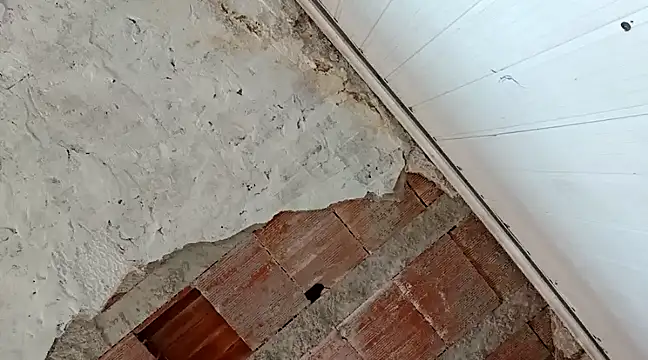 Snapshot of frotasso chatting on January 18, 4:31 pm frotasso online show from January 18, 4:31 pm