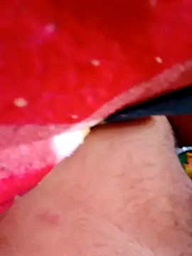 Snapshot of frotasso chatting on December 11, 3:55 pm frotasso online show from December 11, 3:55 pm