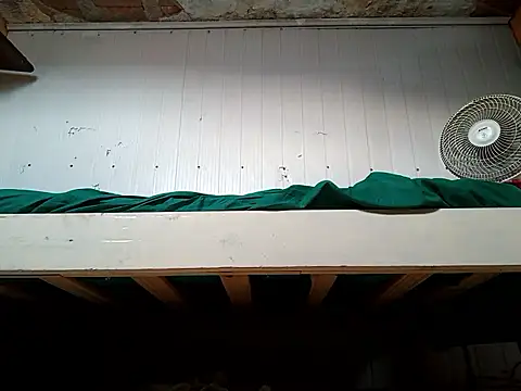 Snapshot of frotasso chatting on March 3, 8:50 pm frotasso online show from March 3, 8:50 pm