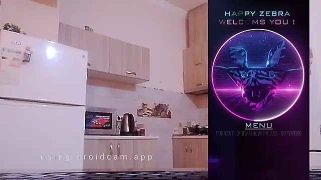 HappyZebra13 online show from December 12, 9:08 am