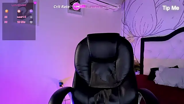 Samir bear online show from July 8, 1:04 pm