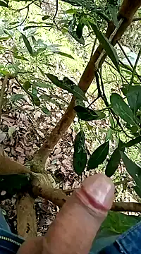 mmarvis za78 93 21cm online show from February 5, 8:14 pm