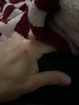 BCFZD online show from December 19, 10:28 pm