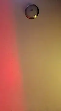 MrDaddyBbSnake online show from January 7, 8:05 am