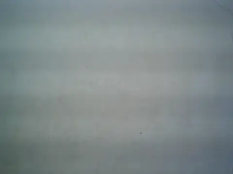 michel1520 online show from July 16, 11:28 am