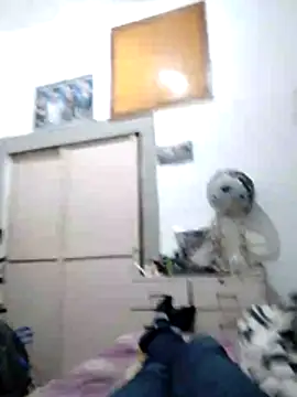 Snapshot of alejo5288 chatting on October 27, 2:14 am alejo5288 online show from October 27, 2:14 am