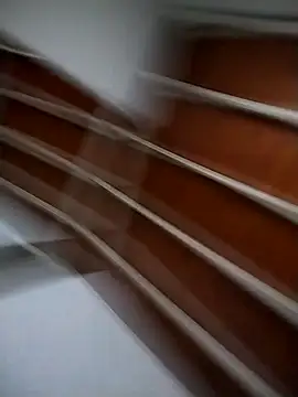 Snapshot of Josejotacamargo chatting on March 4, 2:53 pm Josejotacamargo online show from March 4, 2:53 pm