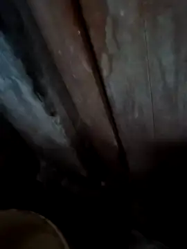 Raj41 online show from November 28, 1:20 am