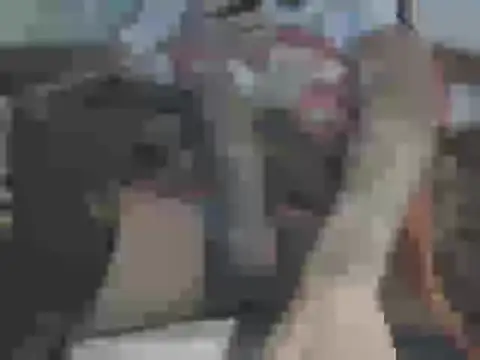 big-king233 online show from January 17, 7:11 am