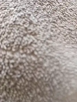 SexualPleasureXoXo online show from February 24, 8:27 am