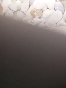 Snapshot of Playboy_bhabhi_00 chatting on February 20, 7:23 am Playboy bhabhi 00 online show from February 20, 7:23 am