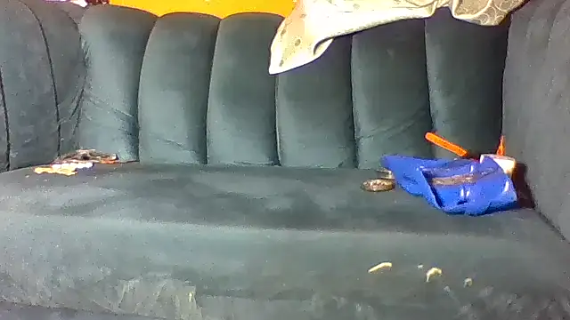 philippiano33 online show from November 8, 10:18 am