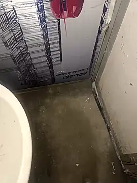 wadmma online show from February 5, 7:10 pm