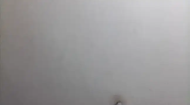 beatle666 online show from February 26, 2:15 am