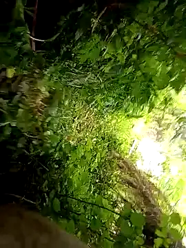 halfArabhalfspanish online show from April 13, 1:01 pm