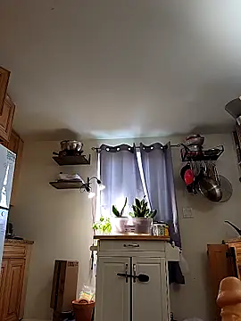 HardSteele97 online show from February 17, 8:52 pm