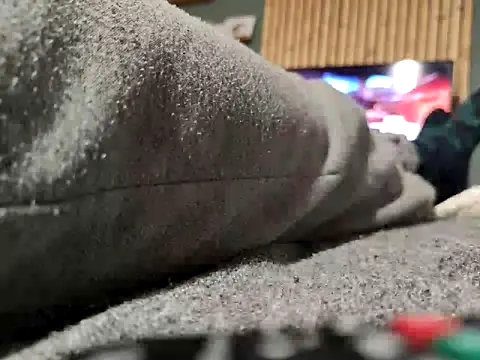 stfbi online show from February 22, 10:37 pm