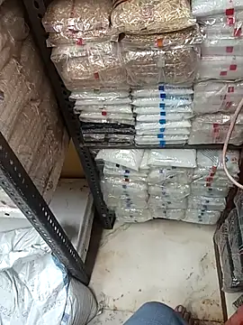 robis12314 online show from October 24, 10:17 am