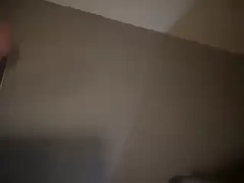 Snapshot of DominantDong chatting on March 14, 2:08 pm DominantDong online show from March 14, 2:08 pm