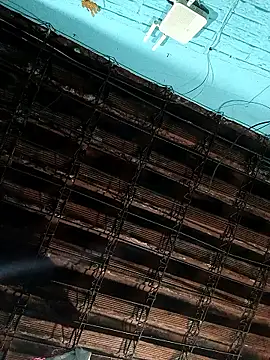 gordiricosv online show from February 18, 1:31 pm