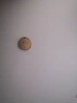 yourflowerpink online show from November 29, 8:27 am