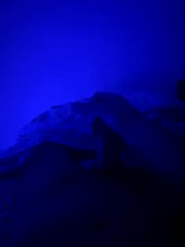 MoroccanDickkkkkk online show from November 26, 10:40 am