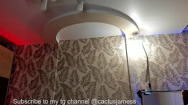 Snapshot of Cactus__James chatting on October 13, 12:44 pm Cactus  James online show from October 13, 12:44 pm