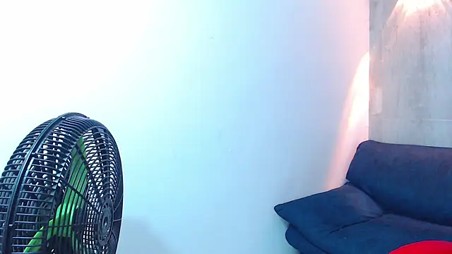 black king 241 online show from November 1, 3:43 am