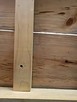 elnegro707070 online show from October 16, 11:51 am