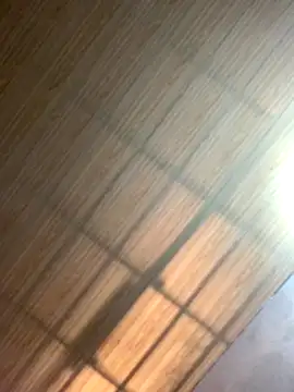 dailydosam online show from November 28, 12:51 pm