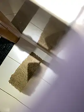 emerdal online show from February 25, 10:11 pm