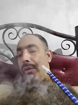 salimbasha online show from November 4, 5:30 am