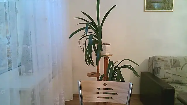 Dartanjanas13 online show from December 1, 11:13 am