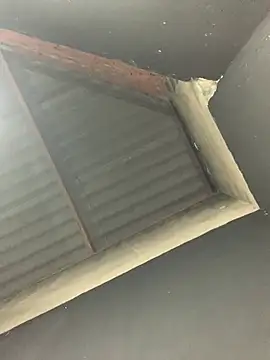 soueuweslley online show from March 10, 4:18 am