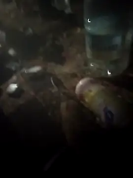 ParousFlow online show from February 19, 12:19 am