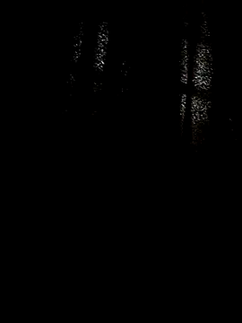 PIROCAGG21 online show from October 11, 4:00 pm