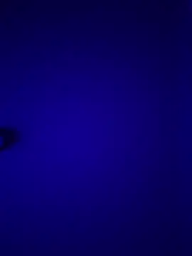 curis4270panda online show from February 21, 10:05 am