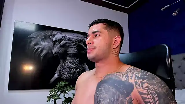 king falconer online show from January 11, 4:27 am