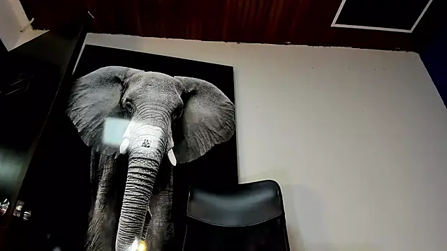 king falconer online show from November 2, 12:37 am