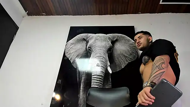 king falconer online show from October 26, 4:03 am