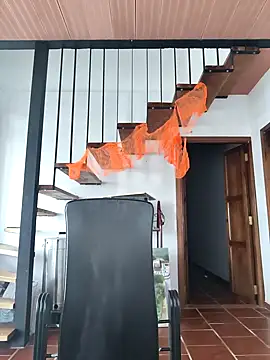 Hiroshi Shen online show from November 2, 11:58 am