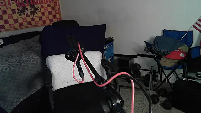 DevilPup75  online show from October 26, 5:09 am