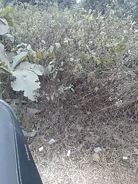 Aeroxx online show from January 16, 11:57 am