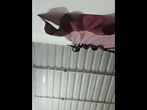 alex-golden online show from November 25, 11:07 pm