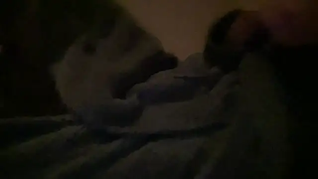 peterpapiNL online show from March 31, 7:15 pm