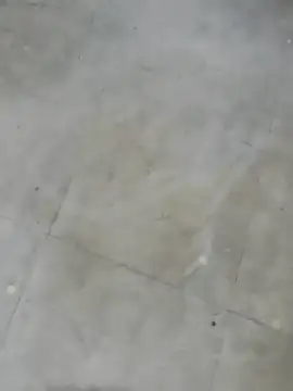 Bull54321 online show from November 14, 8:05 am