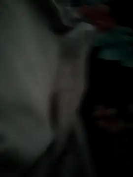 ya sirwo online show from November 26, 10:40 am